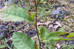 5098f01d-97c1-4e62-8f87-a8bae7ebea4d